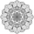 Sketch of the lotus flower mandala beauty
